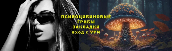стафф Нефтекумск