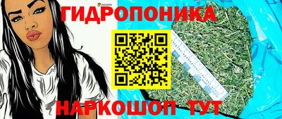 тгк Камышлов