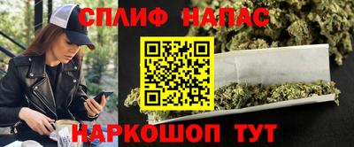 тгк Камышлов