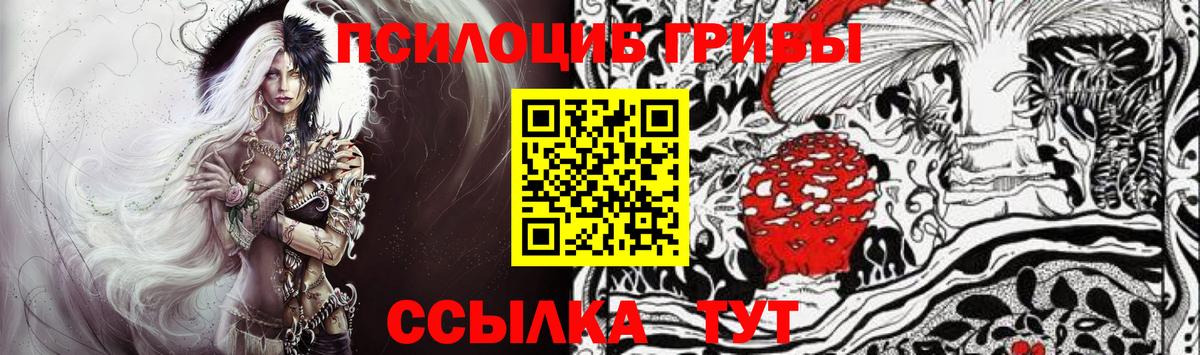 Псилоцибиновые грибы Psilocybe  Пыть-Ях 